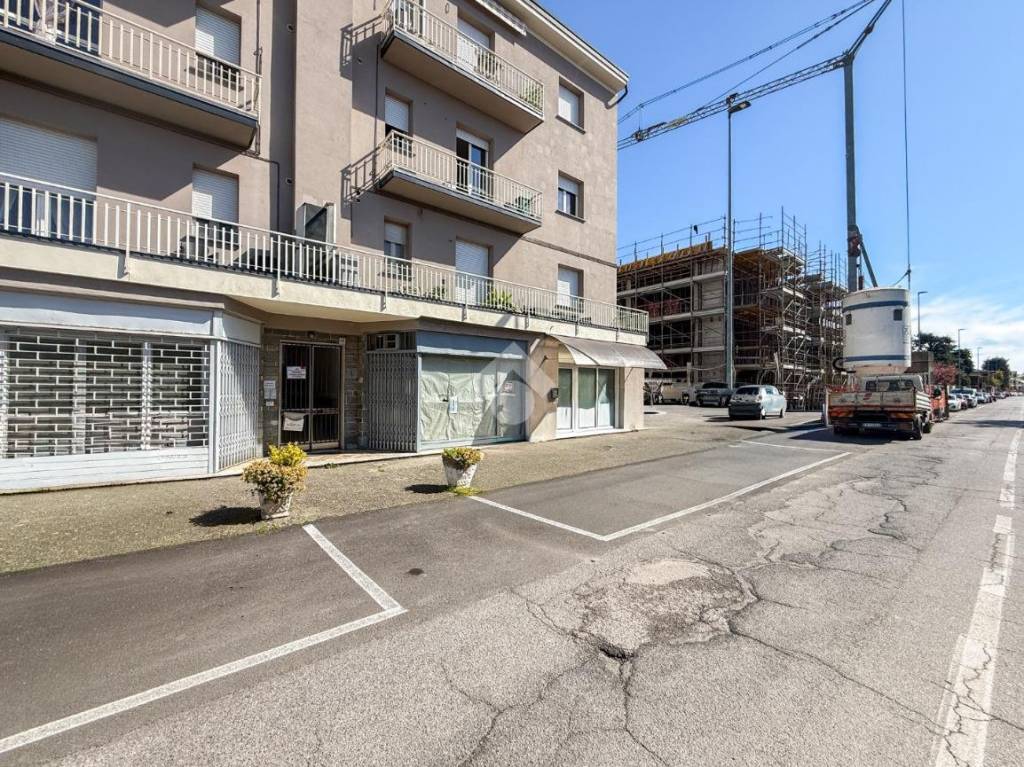 immagine annuncio 3 di 12