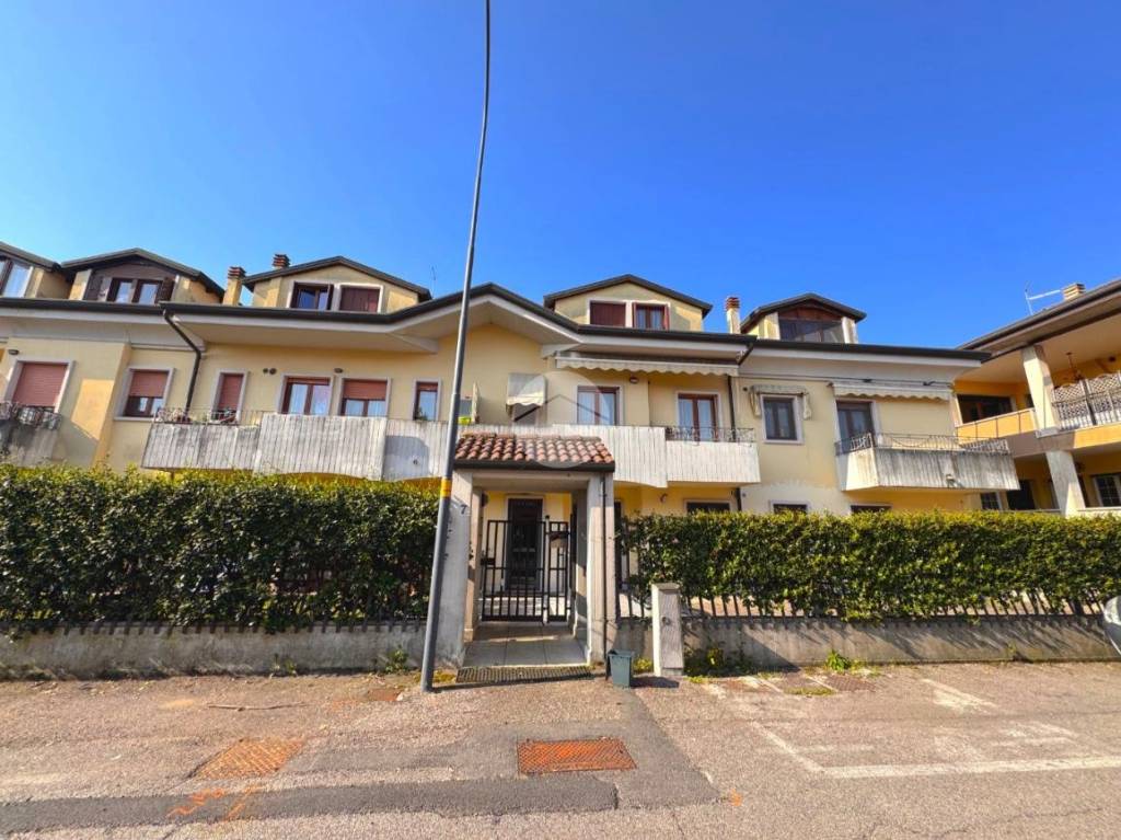 immagine annuncio 1 di 15