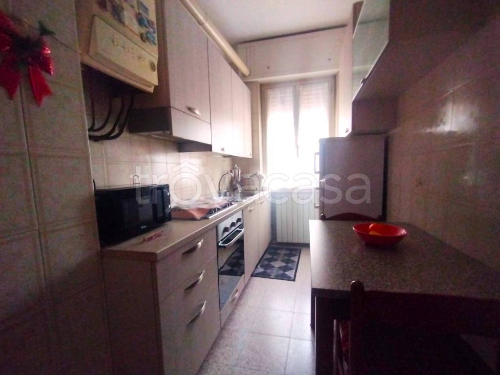 immagine annuncio 5 di 12