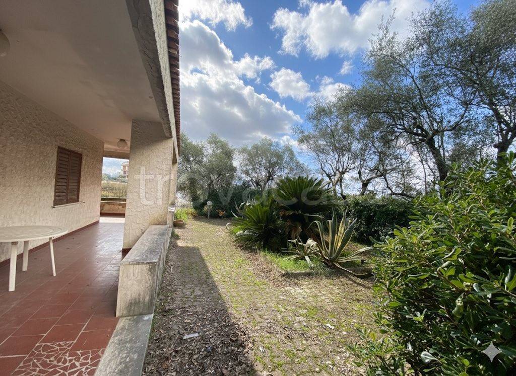 immagine annuncio 5 di 8