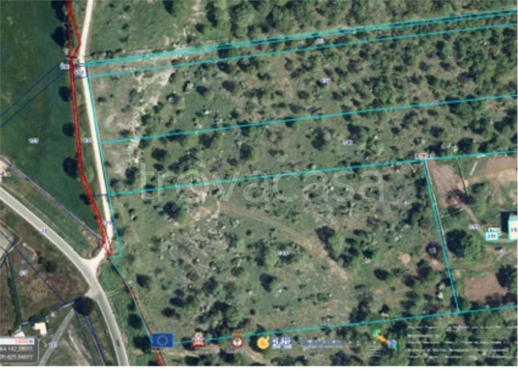 immagine annuncio 10 di 15