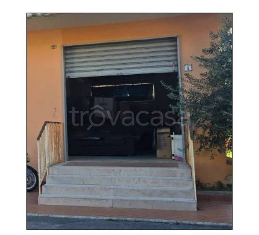 immagine annuncio 4 di 9