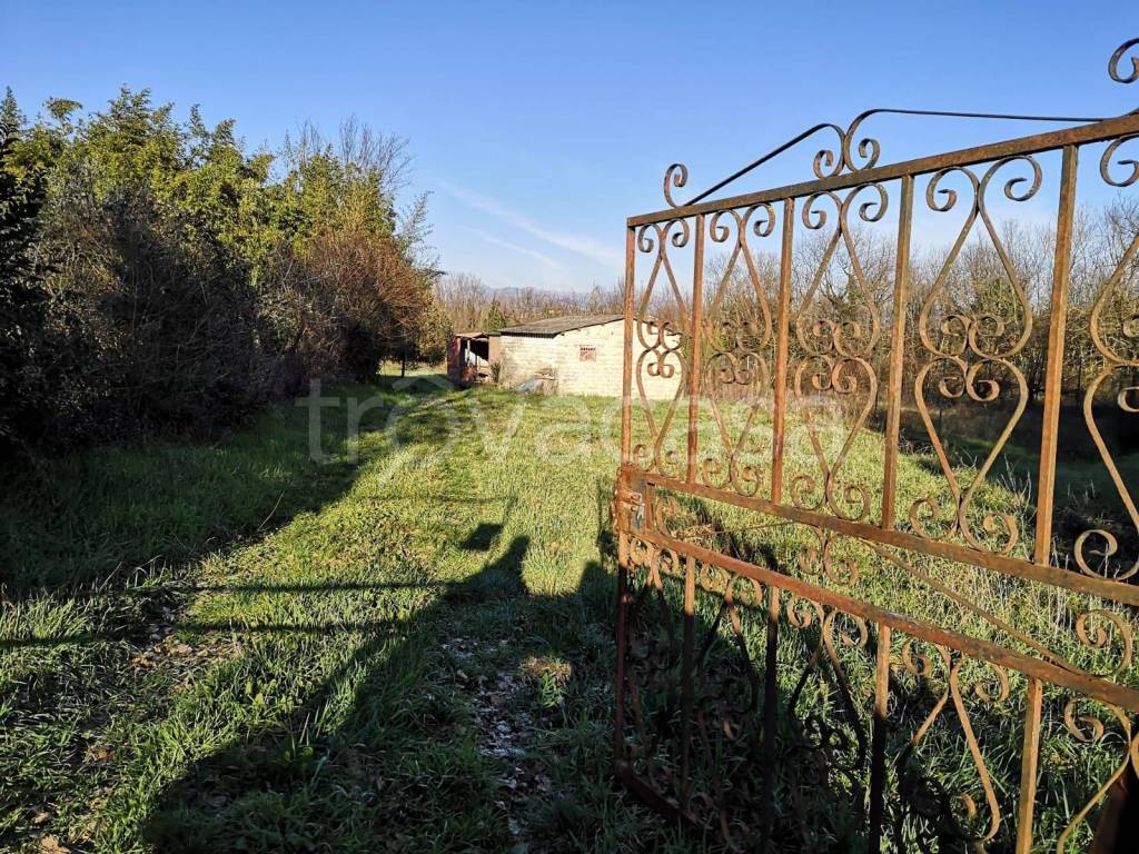 immagine annuncio 6 di 7