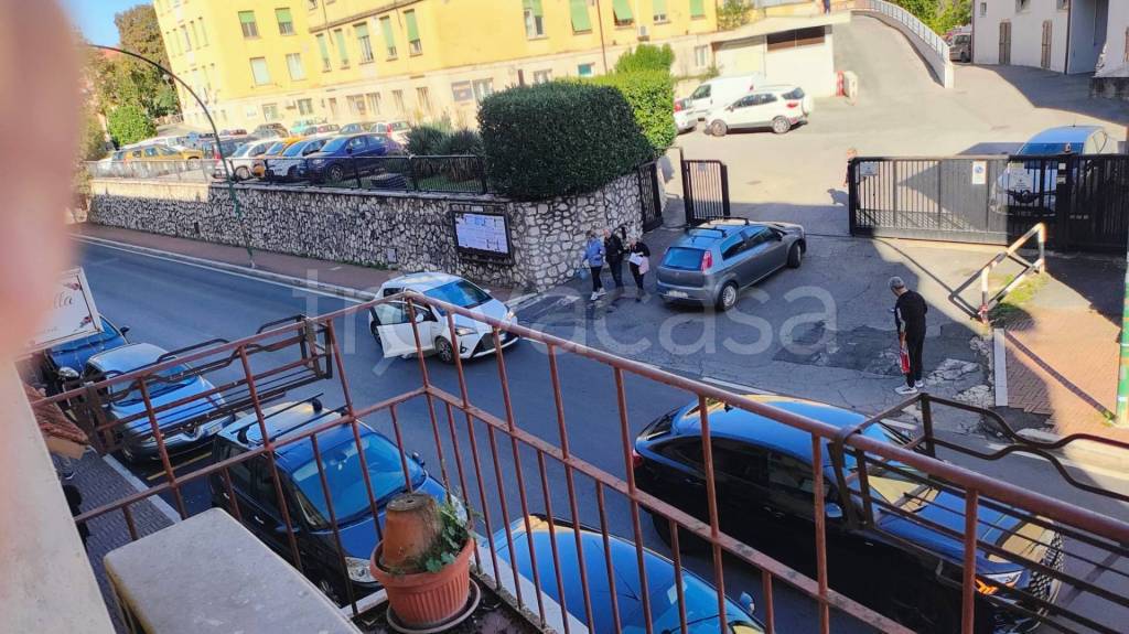 immagine annuncio 5 di 14