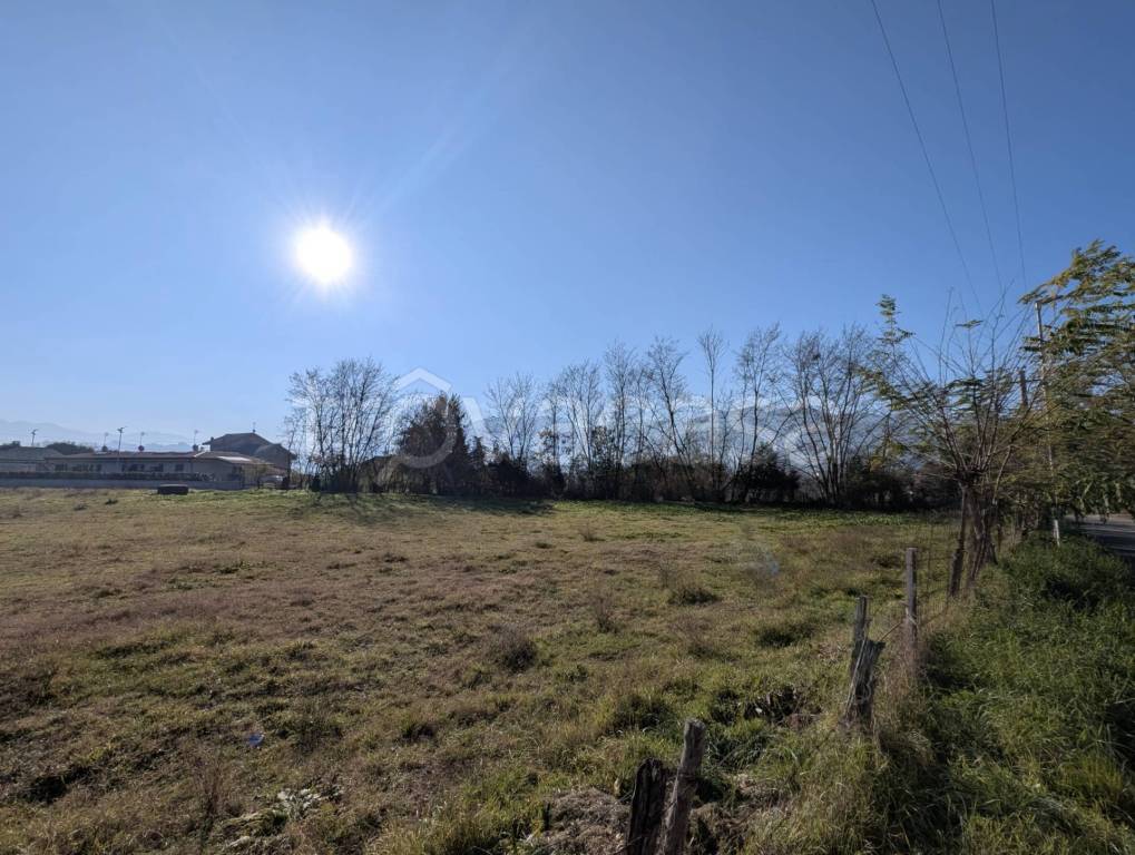 immagine annuncio 3 di 8