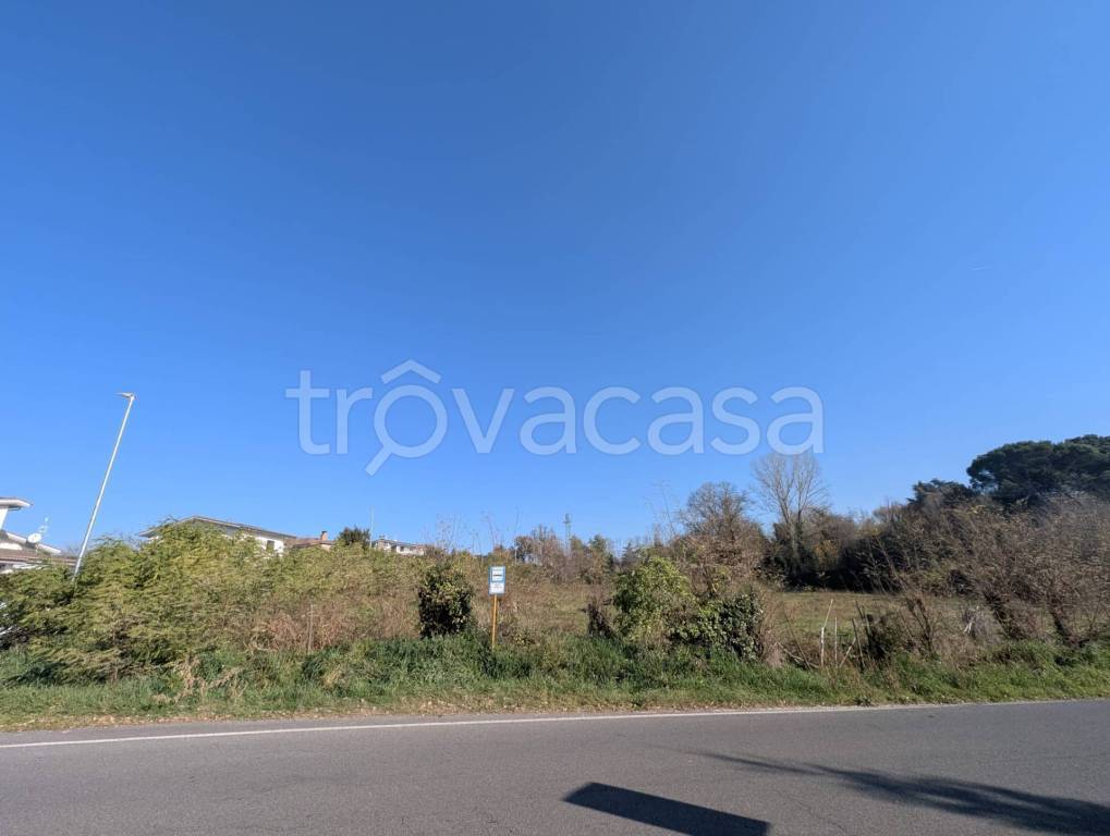 immagine annuncio 4 di 8