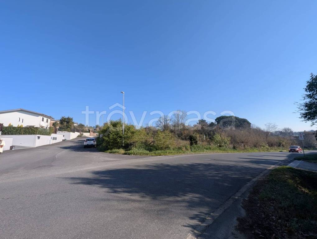 immagine annuncio 5 di 8