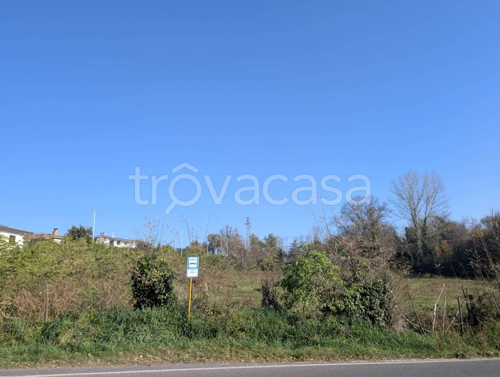 immagine annuncio 6 di 8