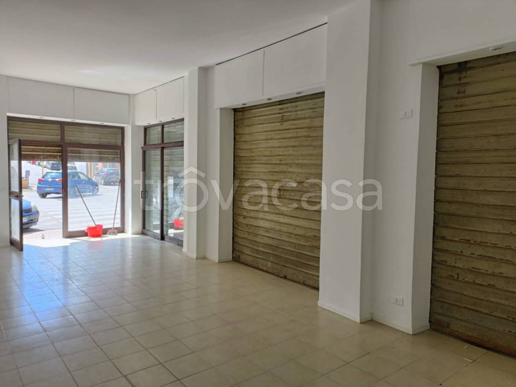 immagine annuncio 5 di 6