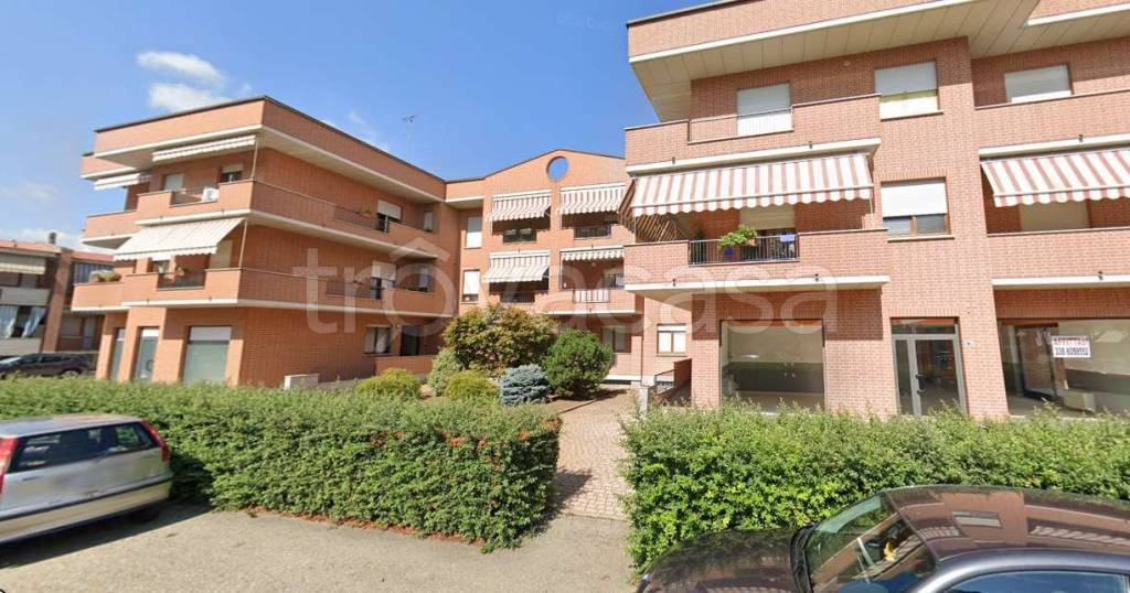 immagine annuncio 1 di 12