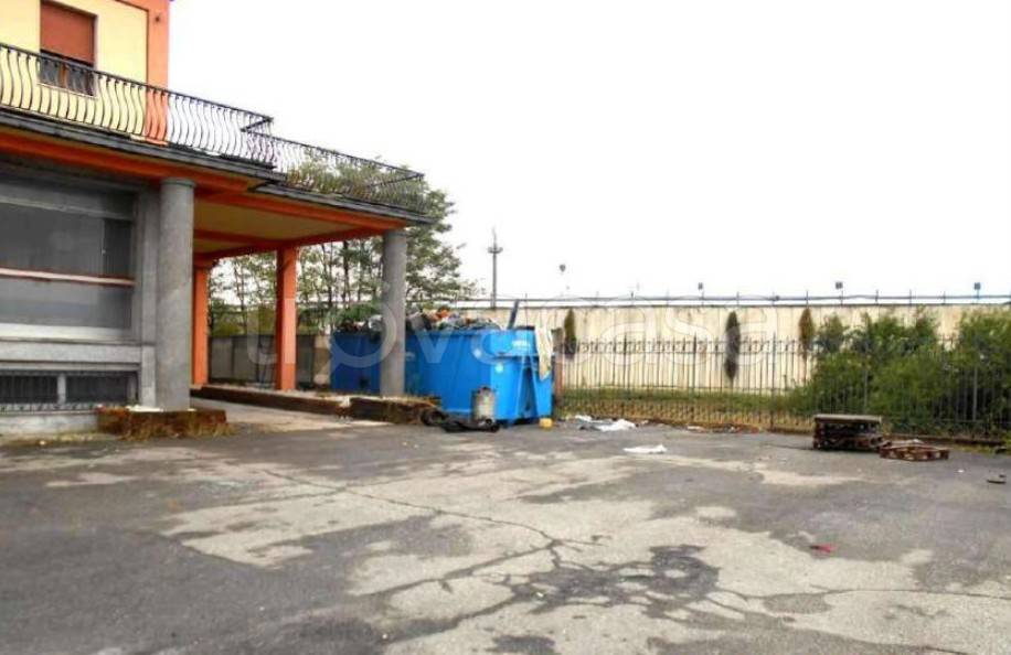 immagine annuncio 1 di 14