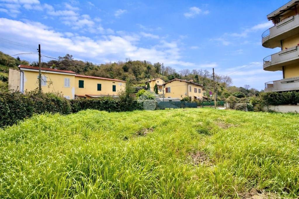 immagine annuncio 1 di 6