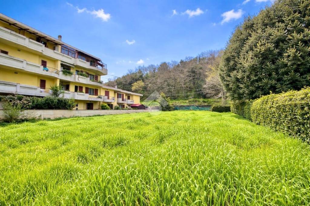 immagine annuncio 2 di 6