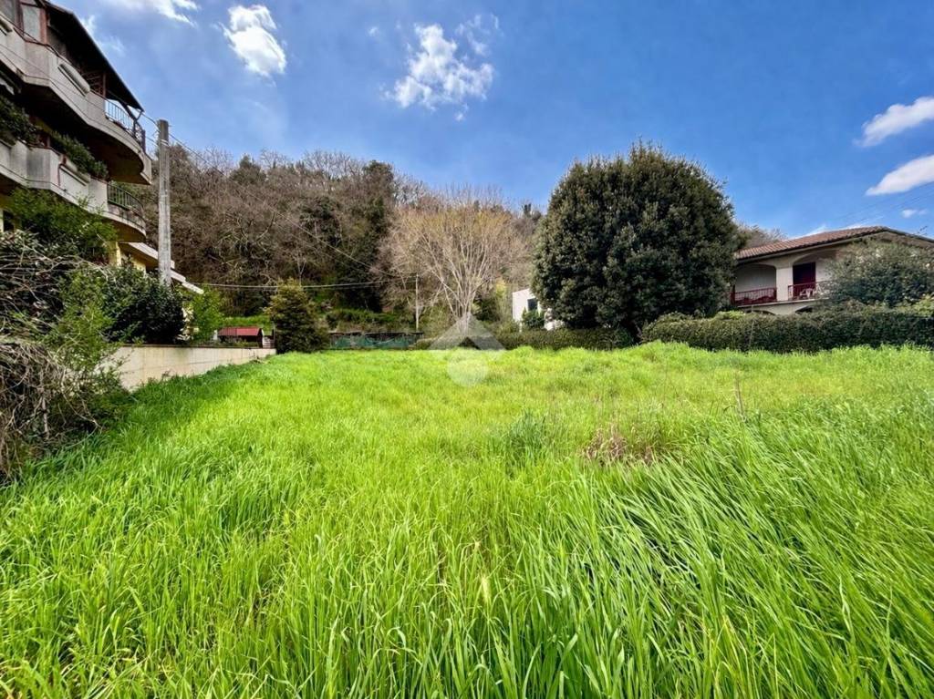 immagine annuncio 4 di 6