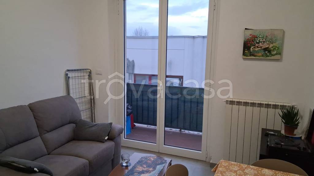 immagine annuncio 3 di 14