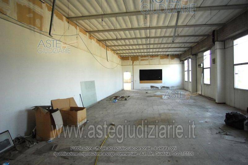 immagine annuncio 9 di 12