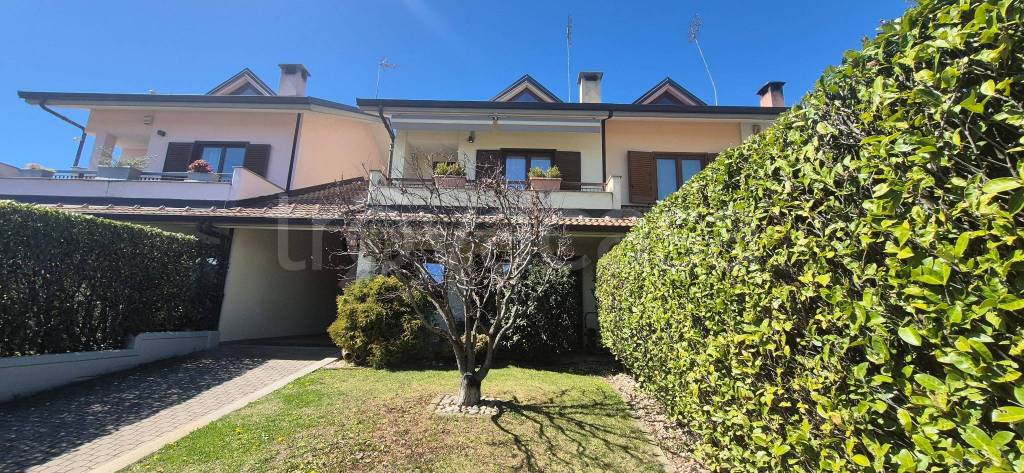 immagine annuncio 3 di 15