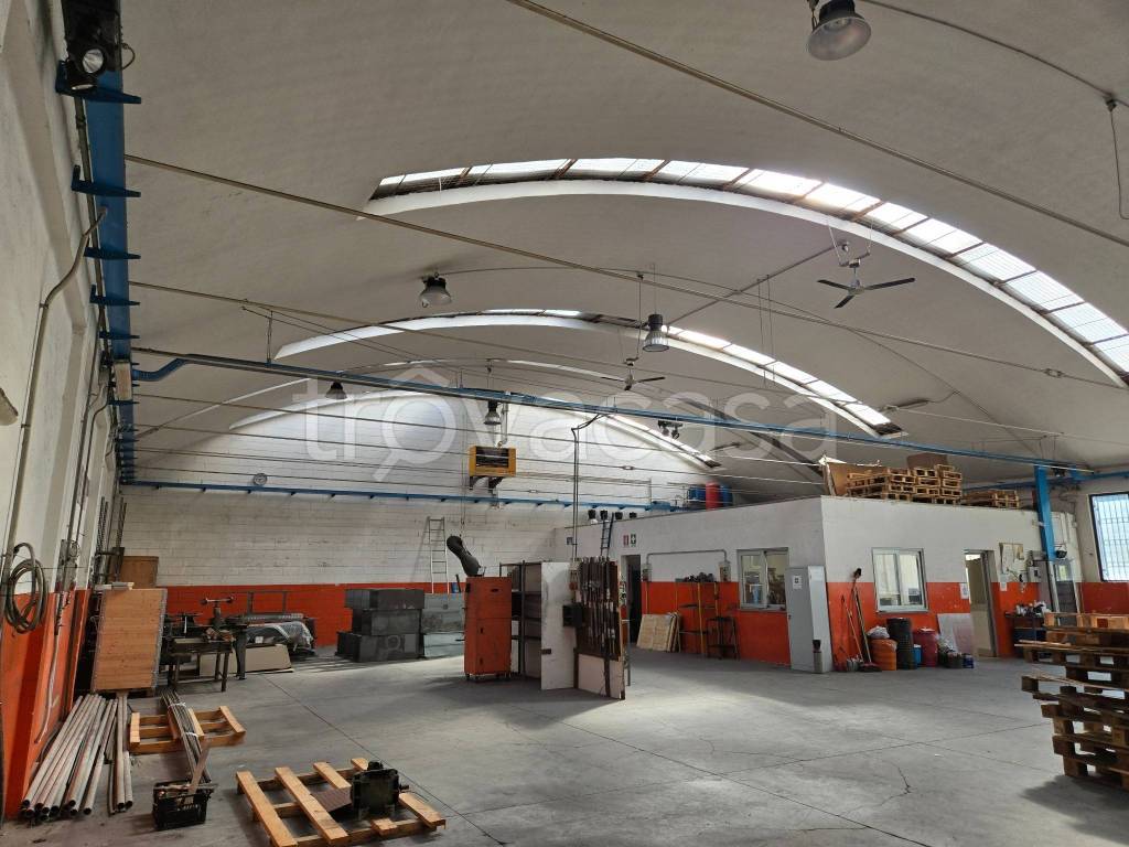 immagine annuncio 9 di 15