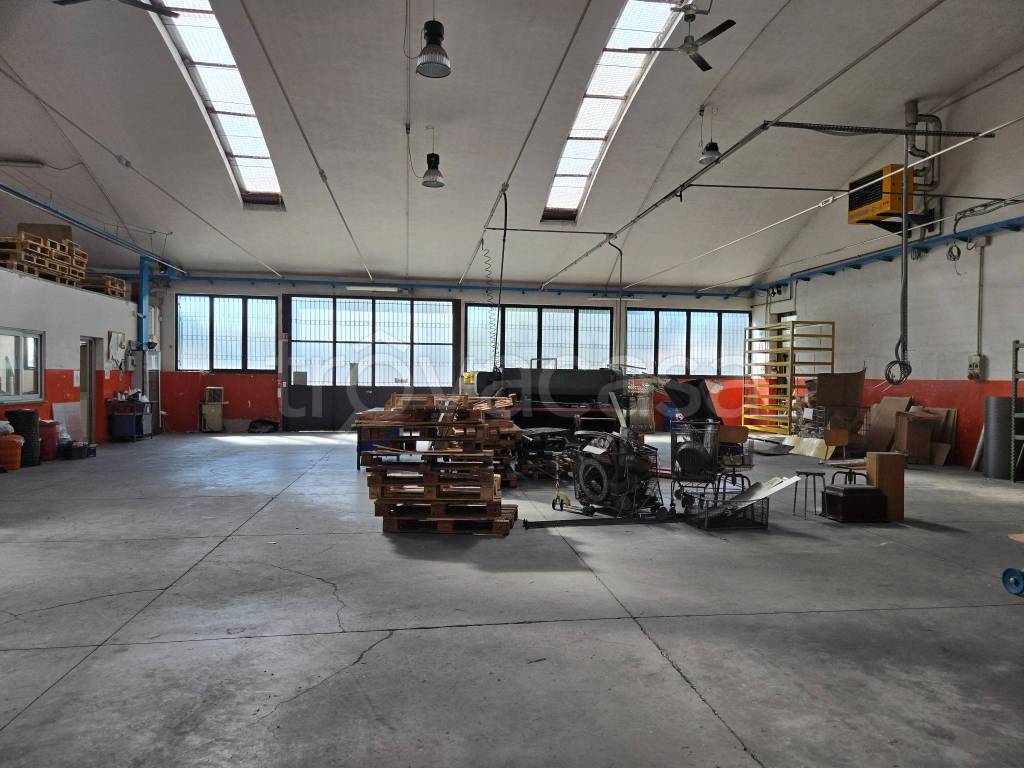 immagine annuncio 10 di 15