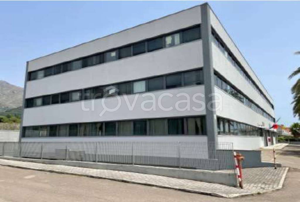 immagine annuncio 9 di 12