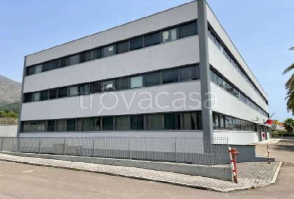 immagine annuncio 10 di 12