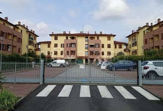 immagine annuncio 1 di 9