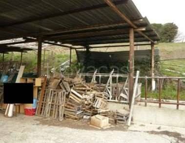 immagine annuncio 5 di 6