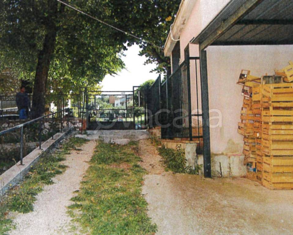 immagine annuncio 5 di 11