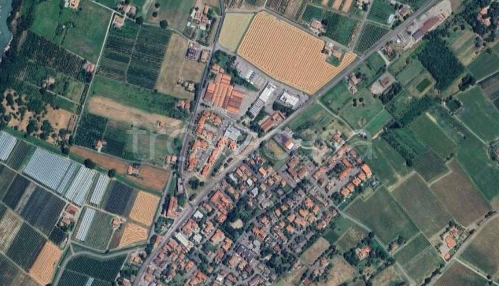 immagine annuncio 5 di 8