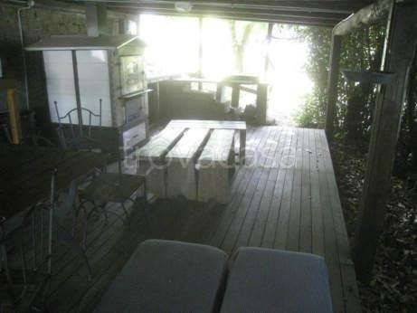 immagine annuncio 6 di 14