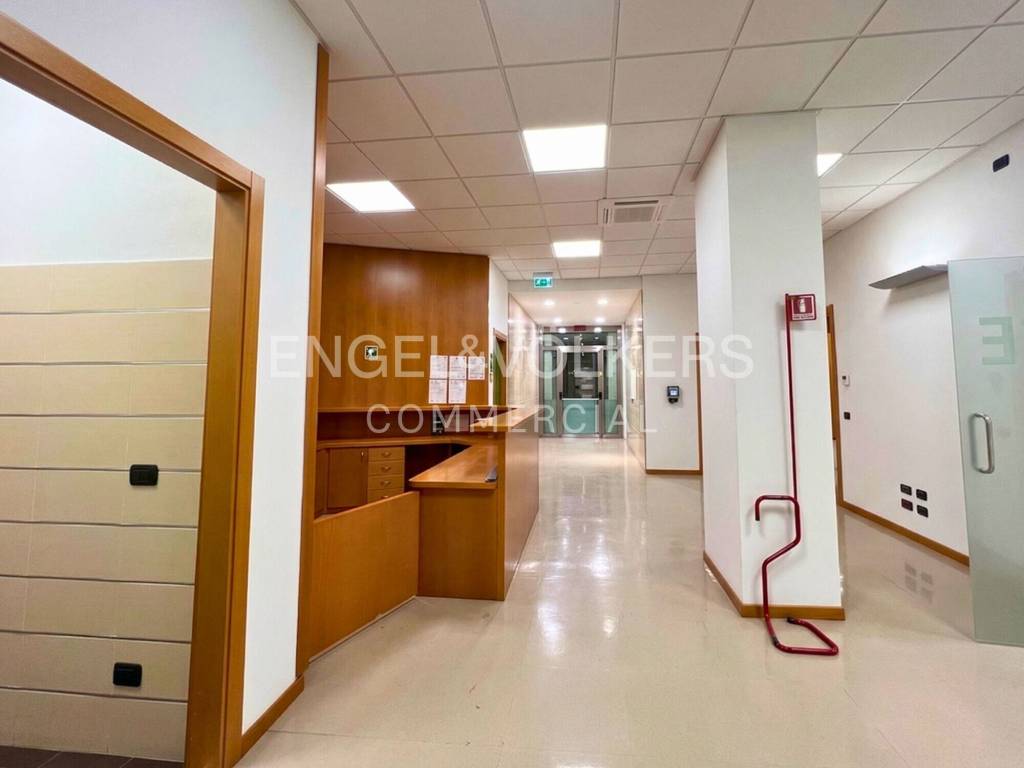 immagine annuncio 9 di 14