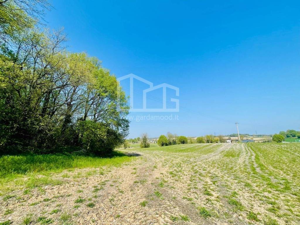 immagine annuncio 6 di 10