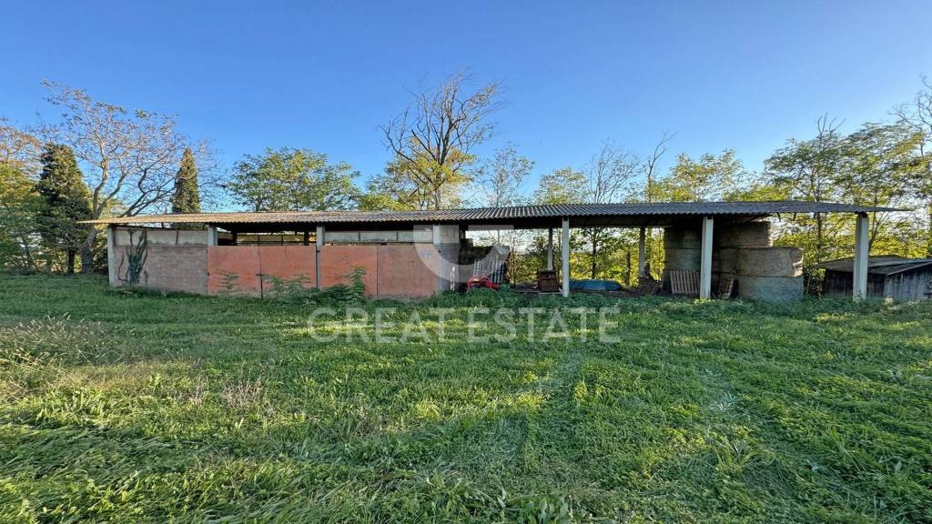 immagine annuncio 9 di 14