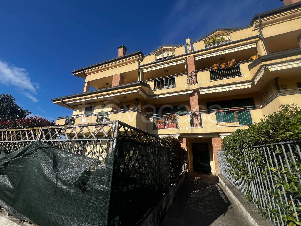 immagine annuncio 1 di 15