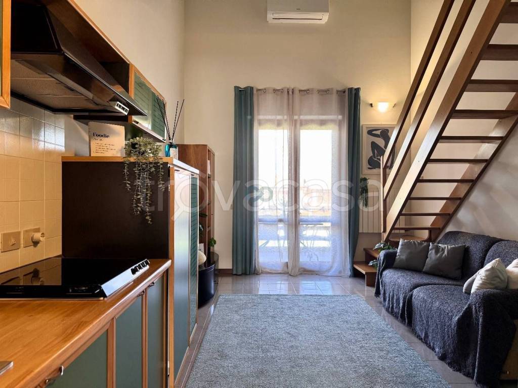 immagine annuncio 5 di 15