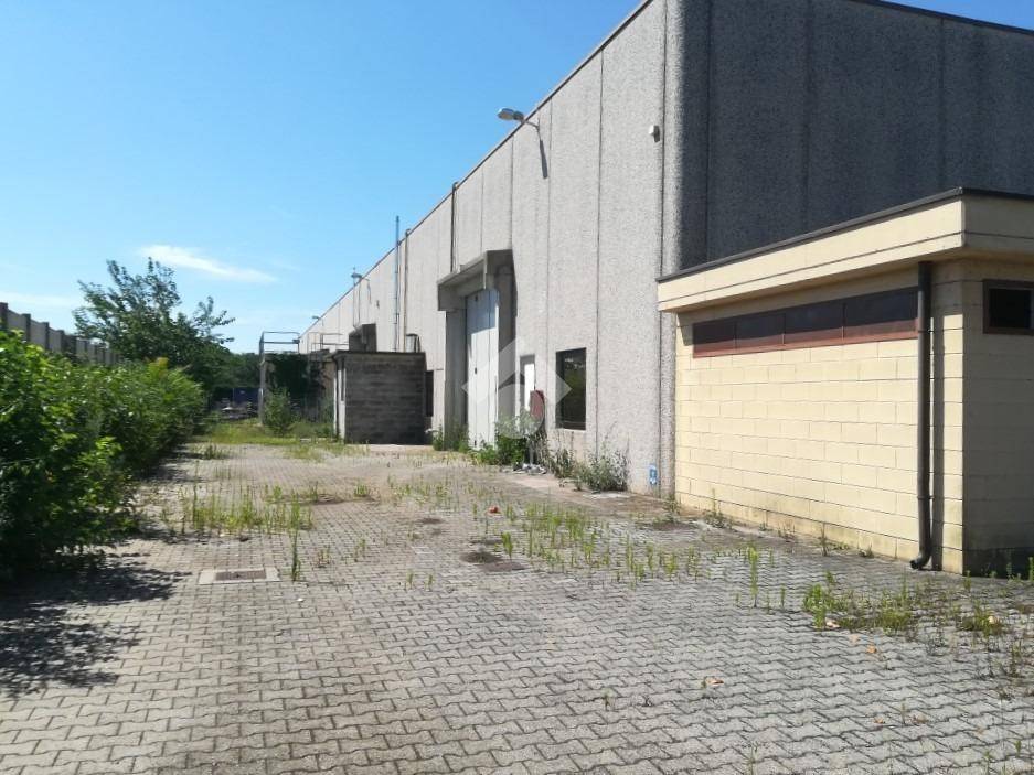 immagine annuncio 12 di 15