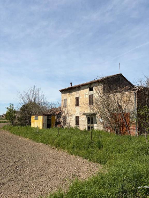 immagine annuncio 2 di 6