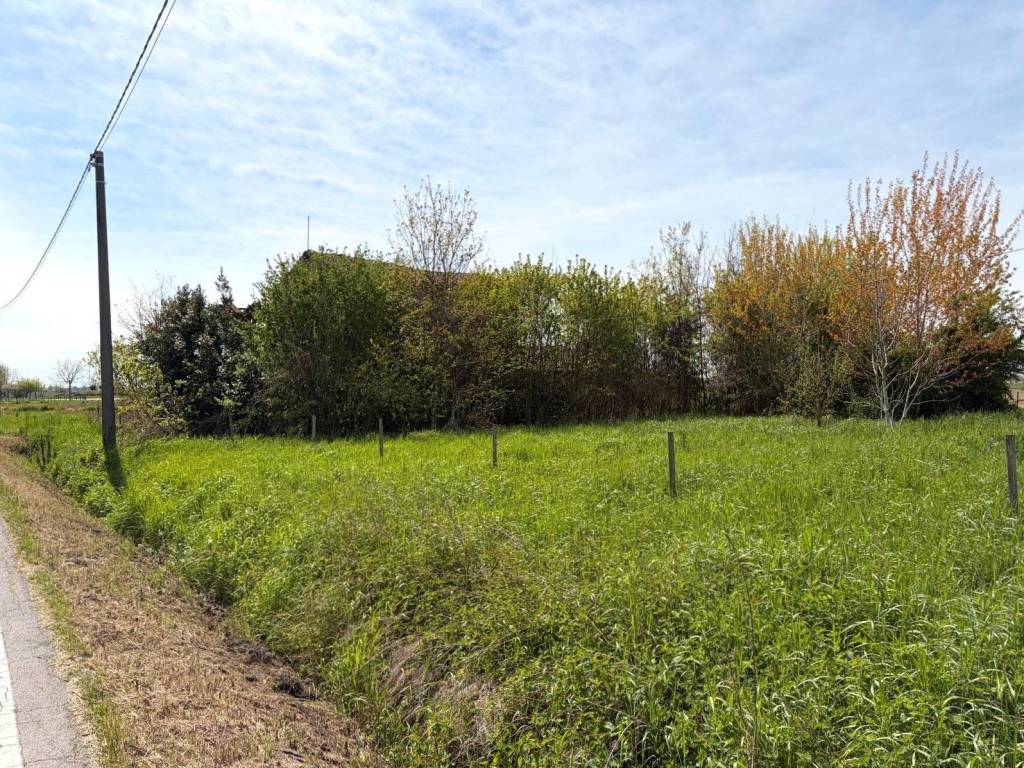 immagine annuncio 3 di 6