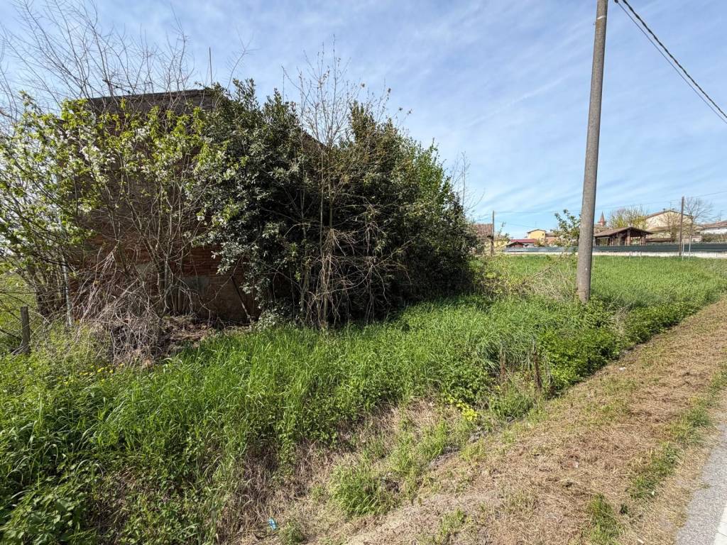 immagine annuncio 5 di 6