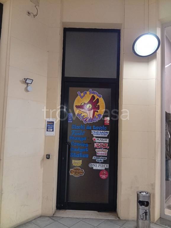 immagine annuncio 9 di 11