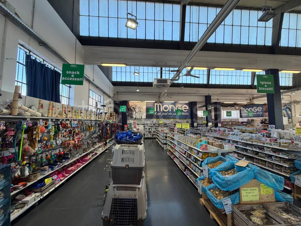 immagine annuncio 5 di 15