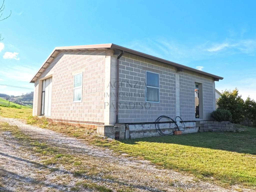 immagine annuncio 14 di 15