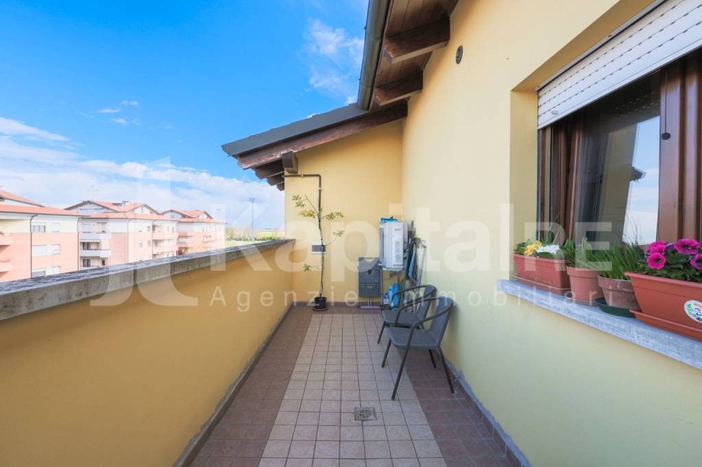 immagine annuncio 12 di 15