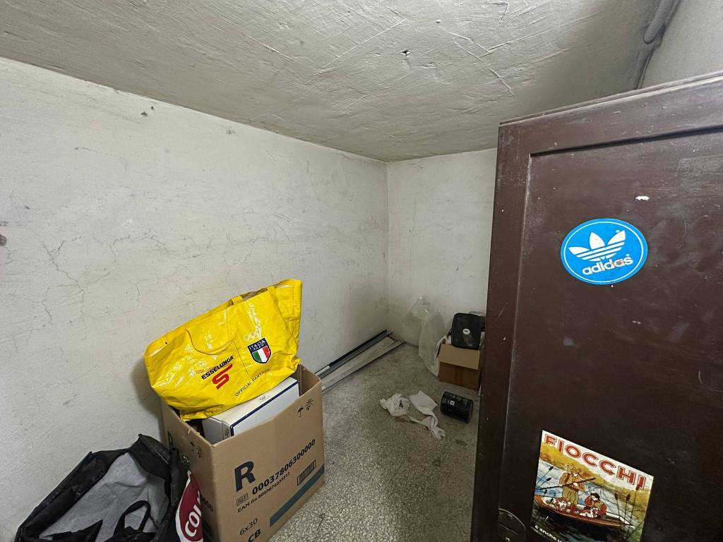 immagine annuncio 11 di 14