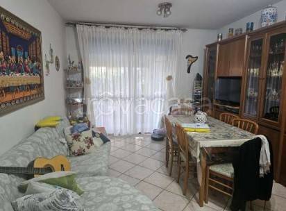 immagine annuncio 3 di 14