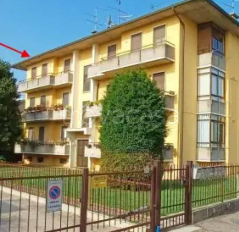 immagine annuncio 5 di 12