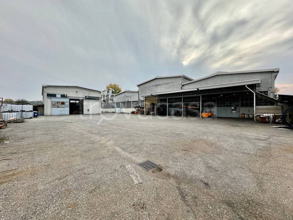 immagine annuncio 9 di 15