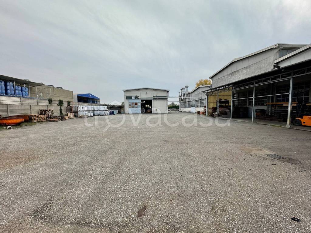 immagine annuncio 10 di 15