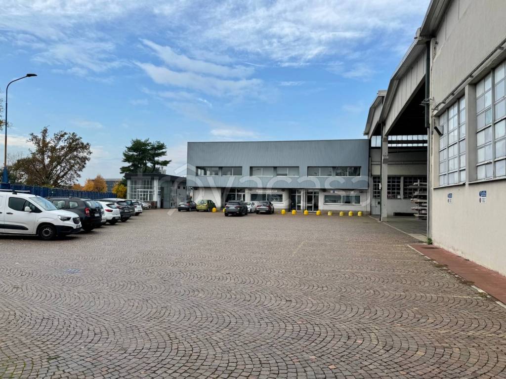 immagine annuncio 12 di 15