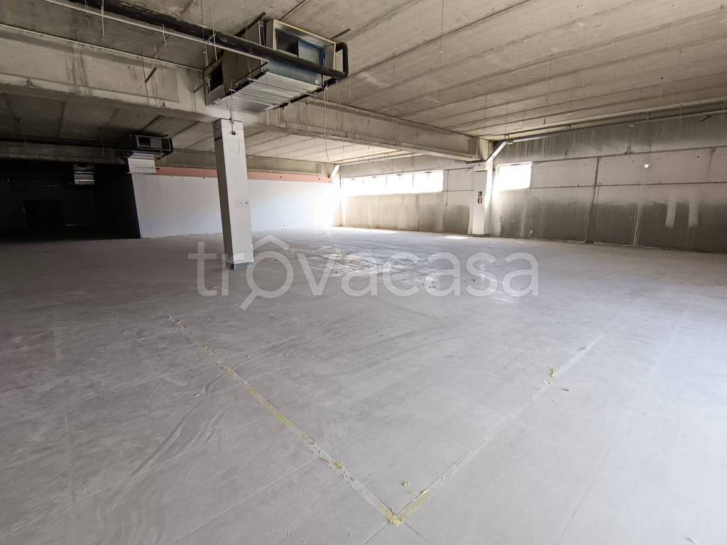 immagine annuncio 5 di 12